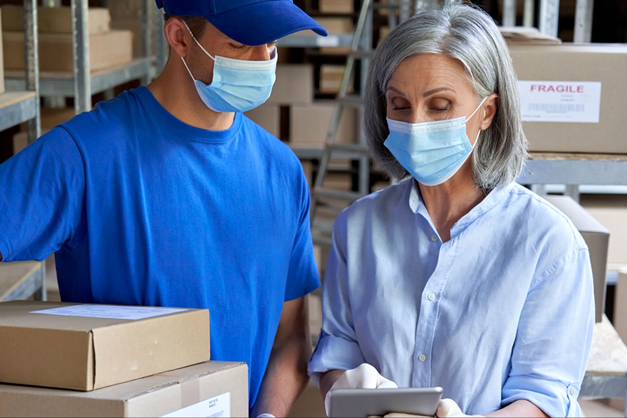 veterinary logistics